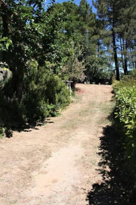 Appartement Tout Equipe En Rez-De-Jardin Entre Gard Et Ardeche Saint-Julien-de-Peyrolas Luaran gambar